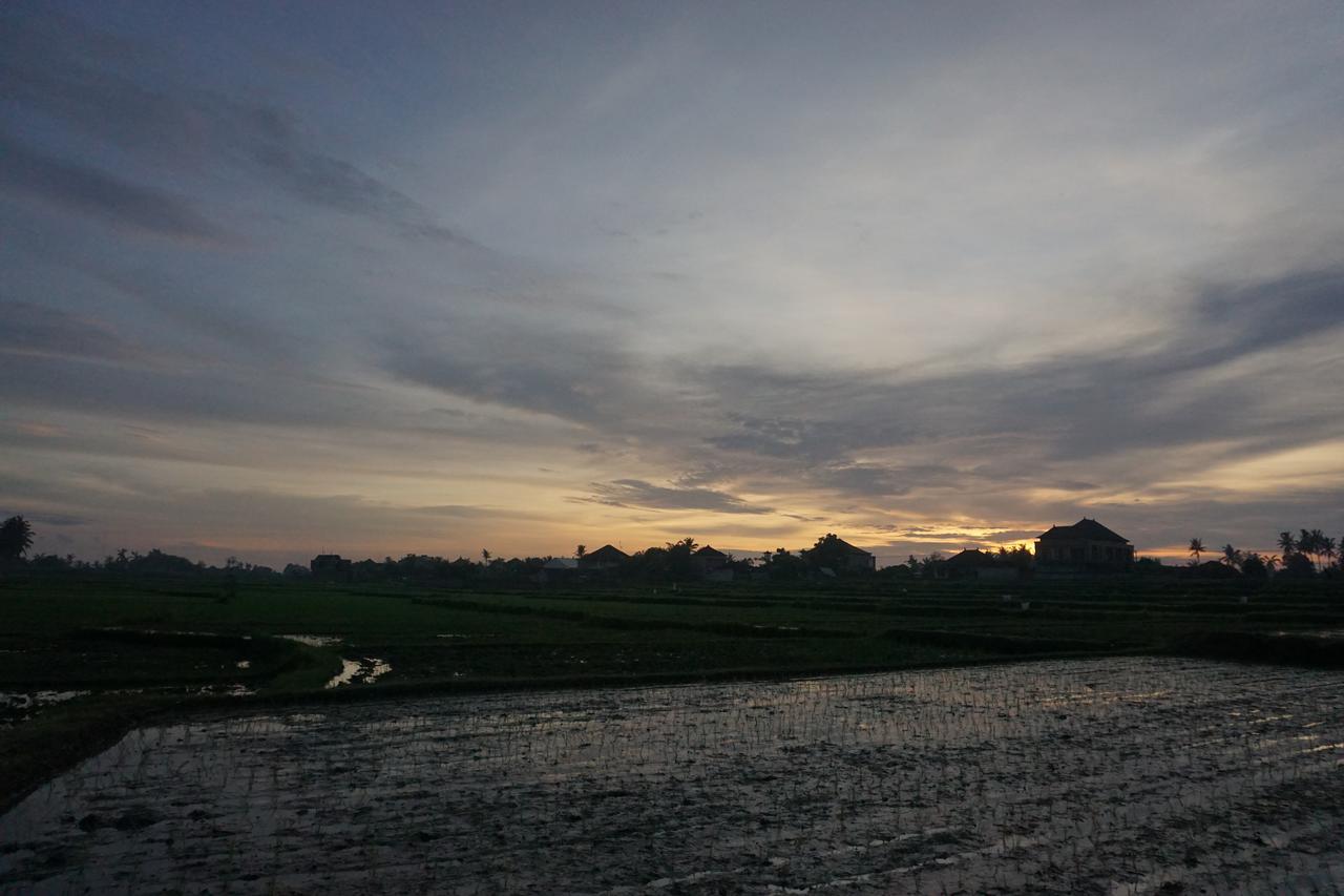Pondok Uma Ubud Exteriör bild