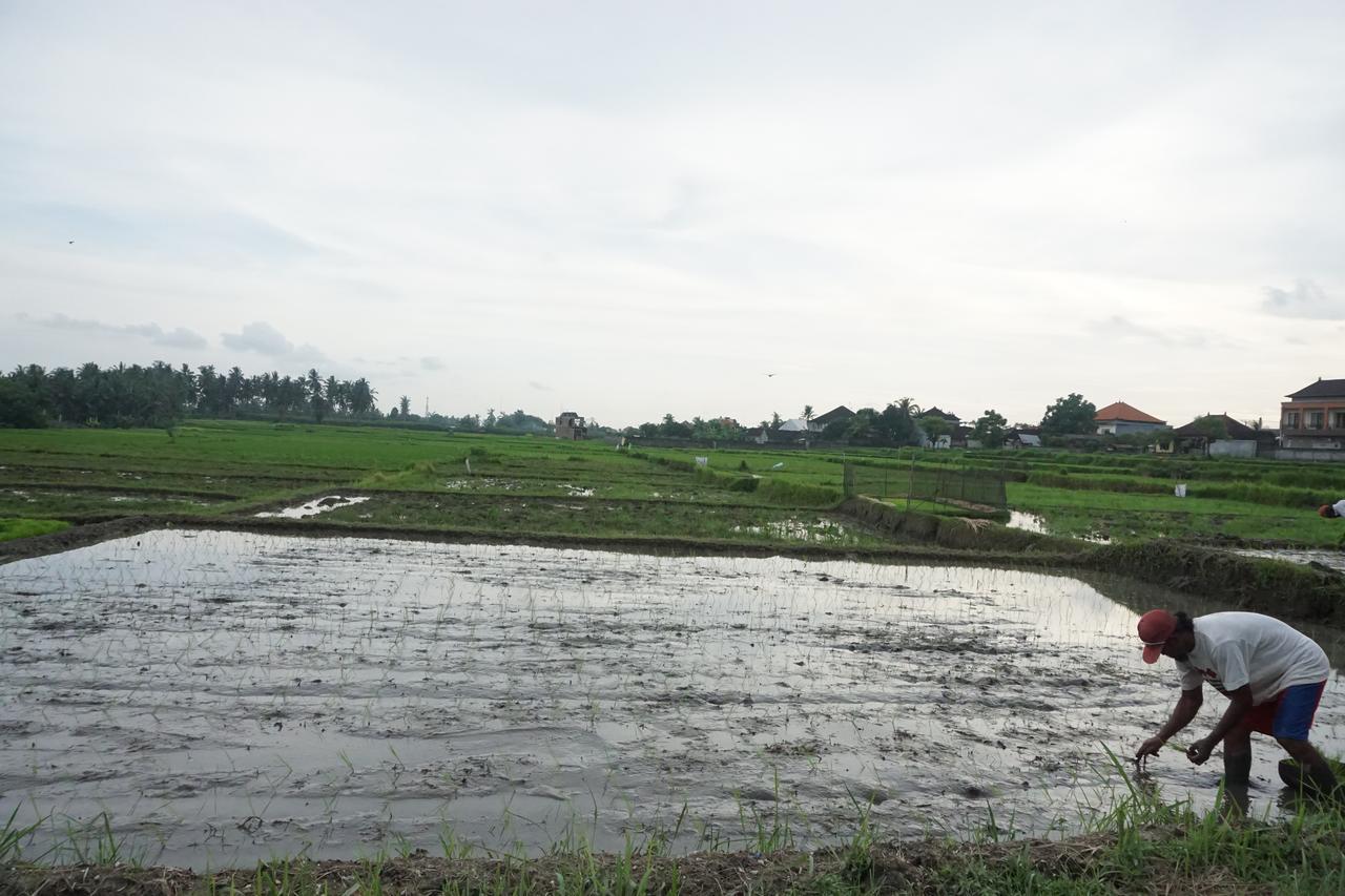 Pondok Uma Ubud Exteriör bild